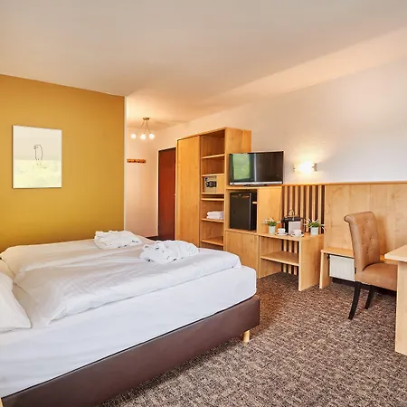 Parkhotel 4* 宁布雷希特