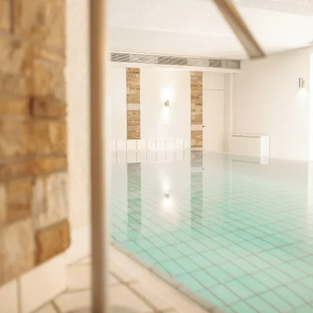 Parkhotel 酒店 宁布雷希特