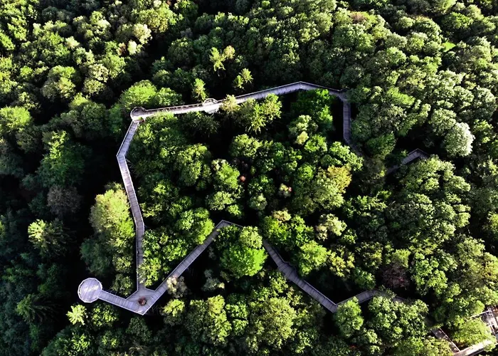 ホテル Parkhotel ニュームブレヒト